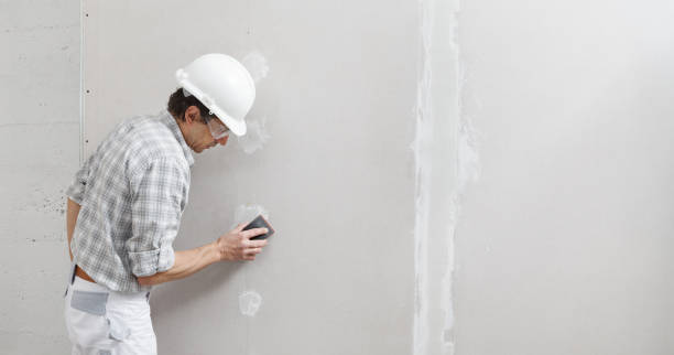 Professional Mold Removal in Egan, LA